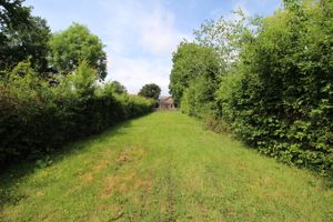 Garden- click for photo gallery